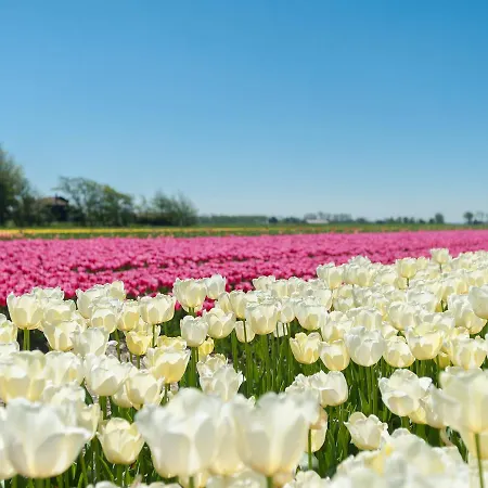 Westerweide * Waarland